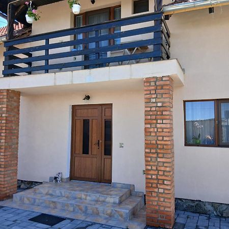 Cîrţişoara Casa Loredana מראה חיצוני תמונה
