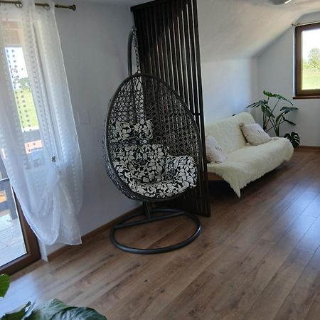 Cîrţişoara Casa Loredana מראה חיצוני תמונה