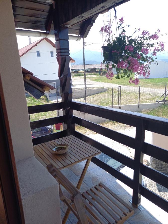 Cîrţişoara Casa Loredana מראה חיצוני תמונה