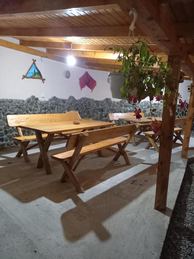 Cîrţişoara Casa Loredana מראה חיצוני תמונה