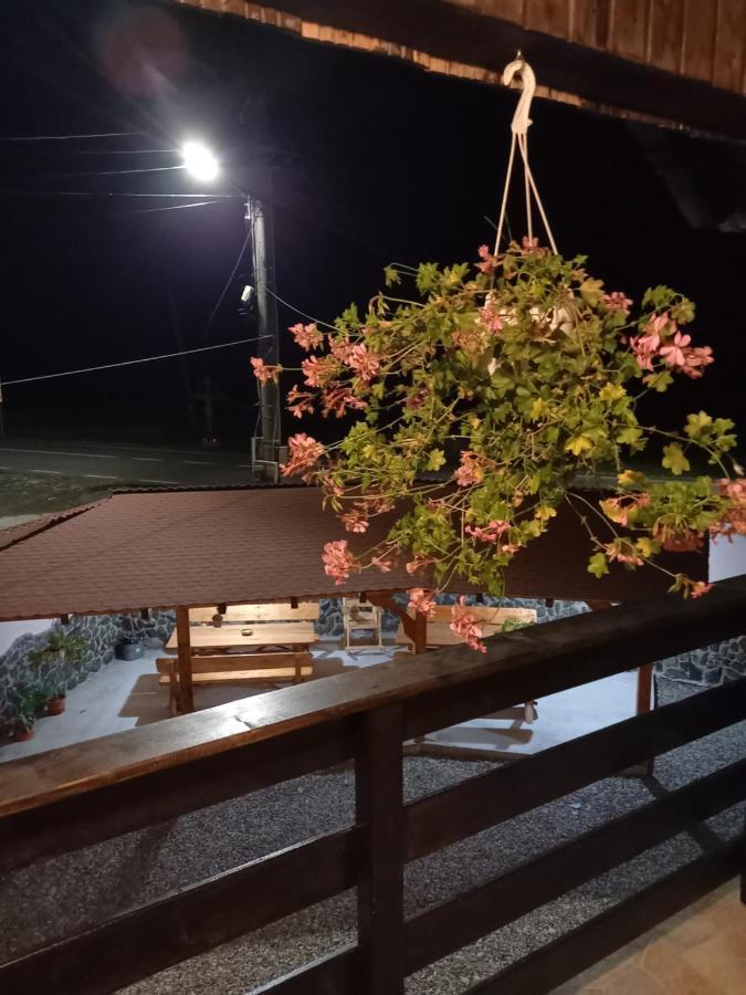 Cîrţişoara Casa Loredana מראה חיצוני תמונה
