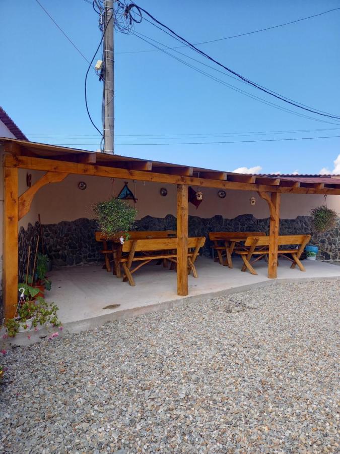 Cîrţişoara Casa Loredana מראה חיצוני תמונה