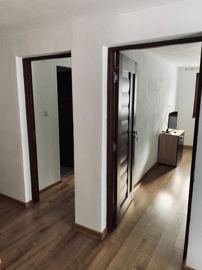 Cîrţişoara Casa Loredana מראה חיצוני תמונה