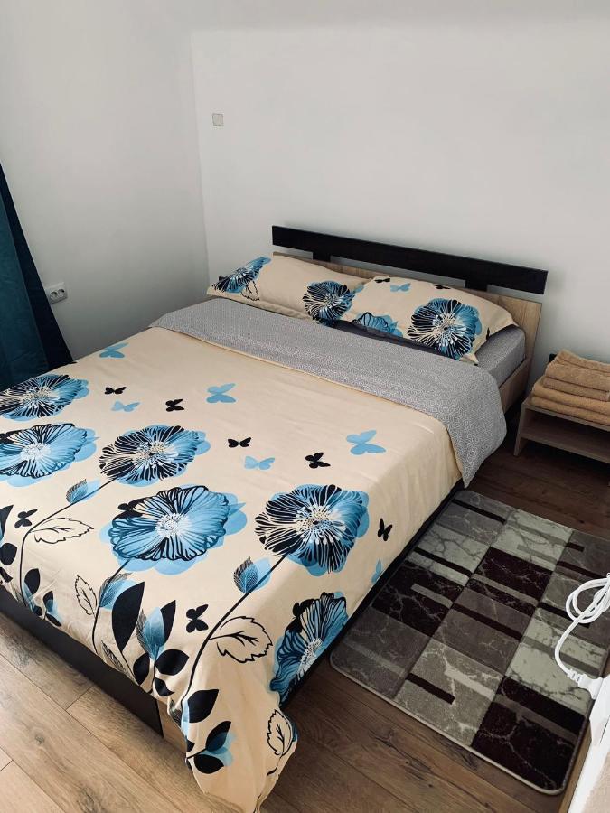 Cîrţişoara Casa Loredana מראה חיצוני תמונה