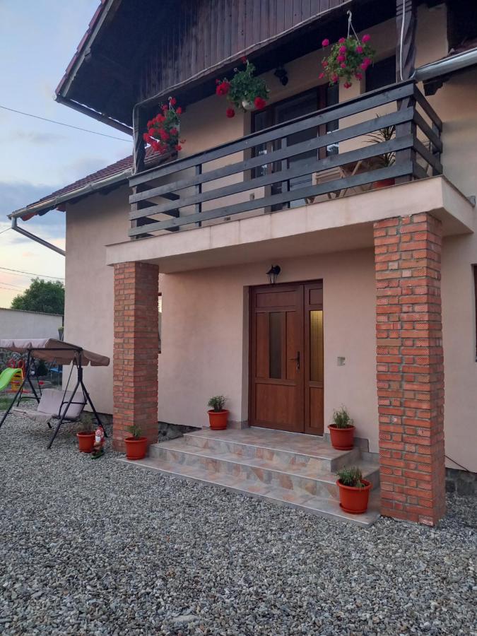 Cîrţişoara Casa Loredana מראה חיצוני תמונה