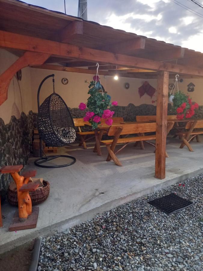 Cîrţişoara Casa Loredana מראה חיצוני תמונה