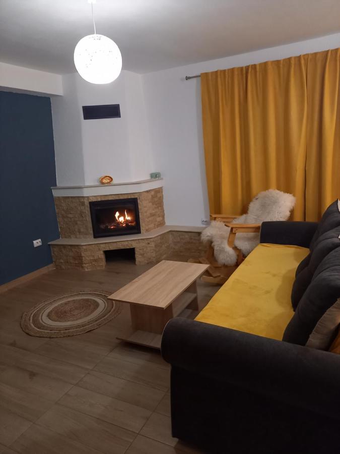 Cîrţişoara Casa Loredana מראה חיצוני תמונה
