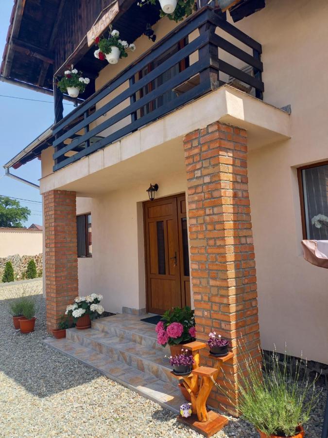 Cîrţişoara Casa Loredana מראה חיצוני תמונה