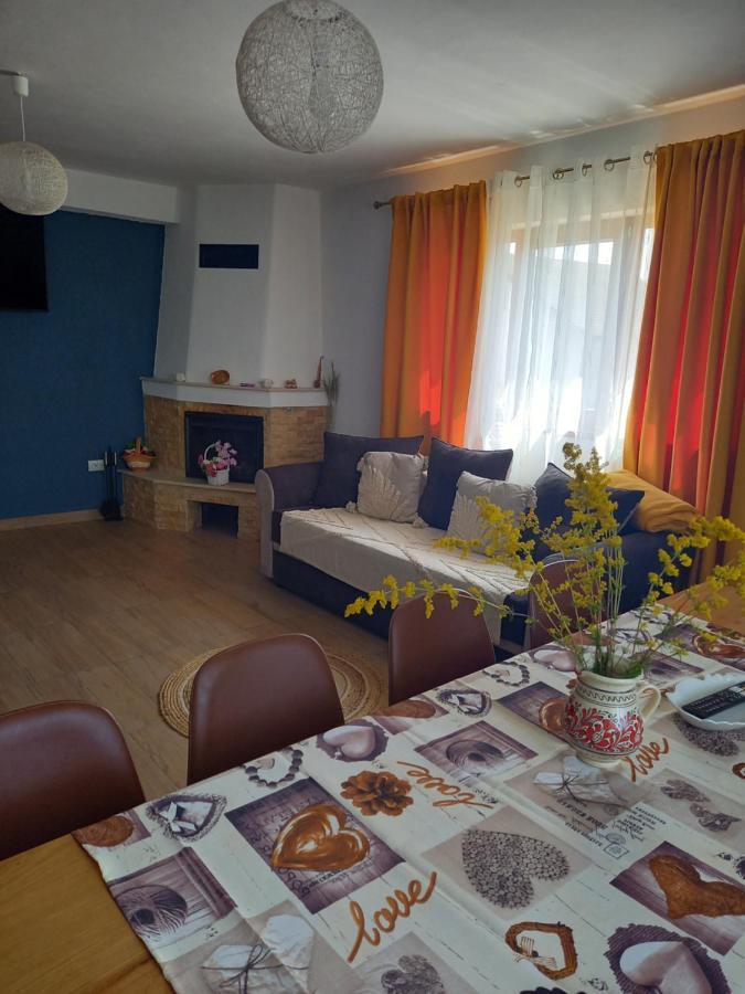 Cîrţişoara Casa Loredana מראה חיצוני תמונה
